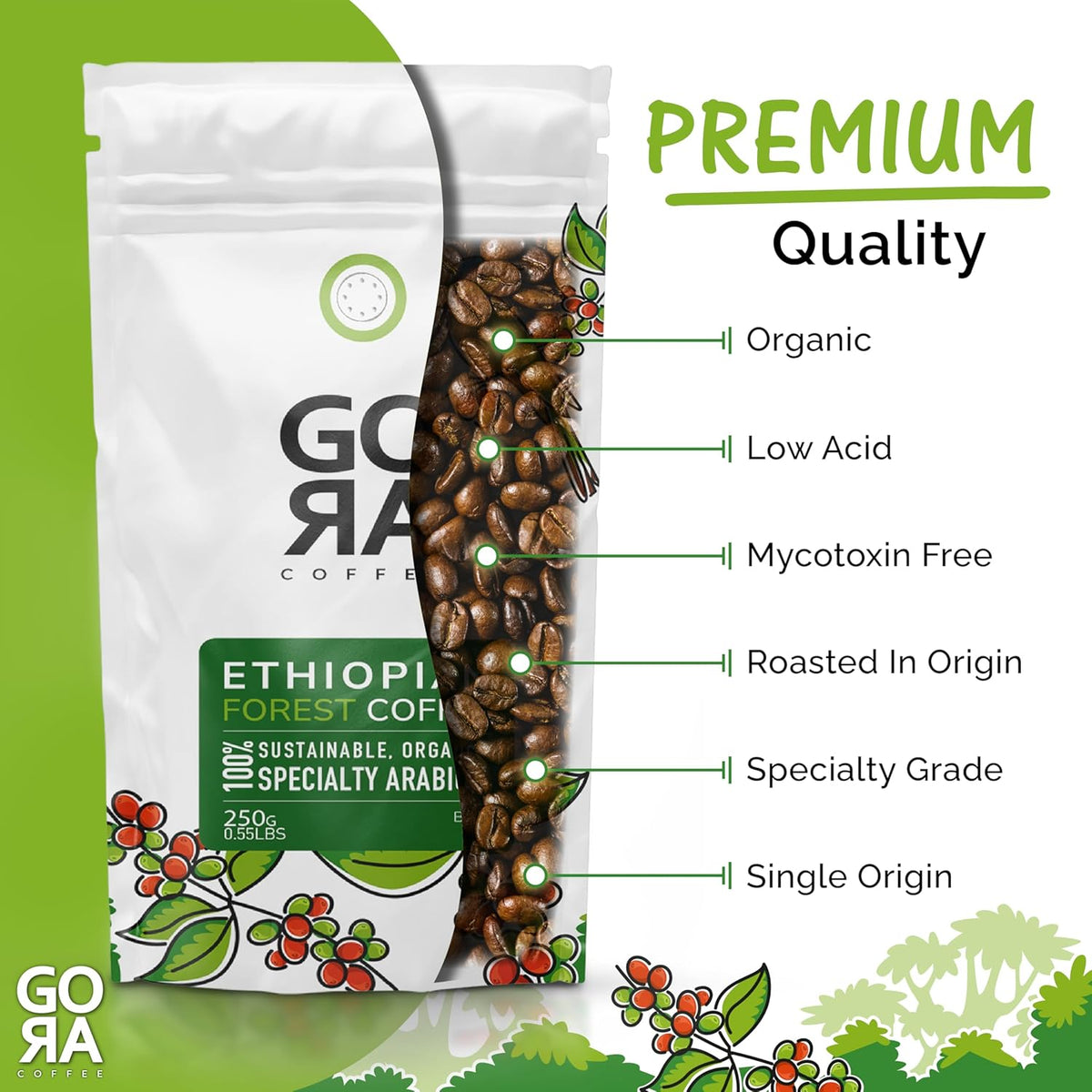 GO RA COFFEE – Ethiopian Roast Whole Bean – Organic Arabica from Ethiopia – Mycotoxin-Free, Single Origin African Beans – Roasted at Source – 250g (8.82 oz) – by Moyee Coffee